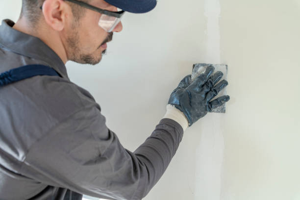 Best Drywall Removal and Disposal  in Sells, AZ