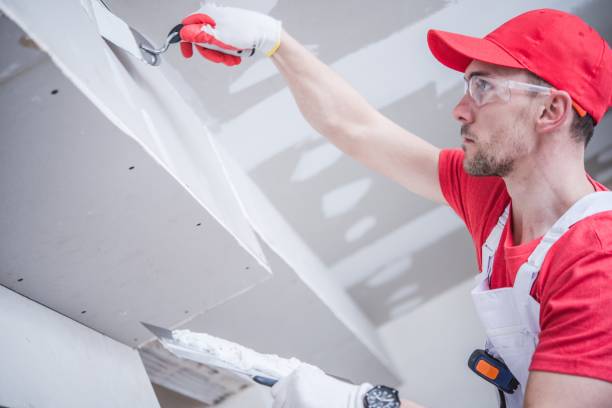 Best Ceiling Drywall Installation  in Sells, AZ